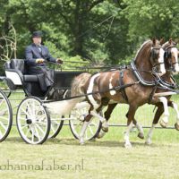 TW Rony Beuving met Cetrienes en Contant (Zuidwolde) 20160528 DSC 7616