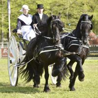 TW Udo de Haan met Christiaan en Hercules (Roden) 20160507 DSC 1601