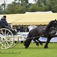 TW Udo de Haan met Christiaan en Hercules (Dokkum) 20160625 DSC 7246