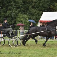 YR Nanning Lemstra met Auckje fan 'e Alde Ryd (v. Tsjalke) (Wachtum) 20160626 DSC 8045