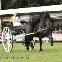 DK Gerbrich Elgersma met Claes (v. Doaitsen) (Norg) 20160726 DSC 2772