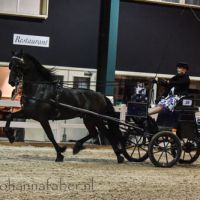 dk hilda de vries met andries fan e huchten v arjen 2609