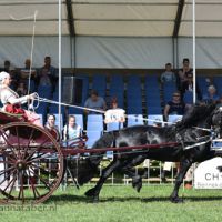 LK Douwe van R. (v. Maurits) met Jolanda Schreuder 1097 20170525