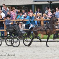 HC EK Best of Both Worlds met Bart Freriks 1497 20170617