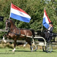 DK Amaretto (v. Hofmeester) met Evelien Langerijs 2444 20170709