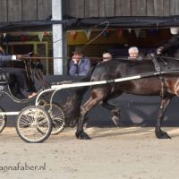 Bommelsteyns Swaen (v. Alwin) met Henk Hammers 6382 20180414