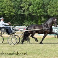 DK Egberdina's Lodewijk (v. Maurus) met Susan Bouwman 4697 20180707