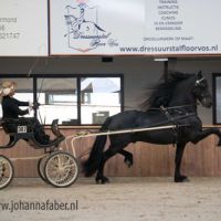 HD Egberdina's Lodewijk (v. Maurus) met Susan Bouwman 1664