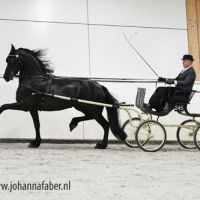 Bommelsteyns Valentina (v. Alwin) met Henk Hammers 2156