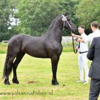 Aaltje (Hessel x Rypke) 9830