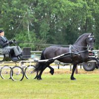 EK Auckje fan 'e Alde Ryd (v. Tsjalke) met Nanning Lemstra 3214
