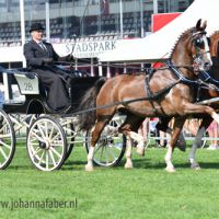 TW TP Amadeus en Eribo met Leendert Veerman 8526