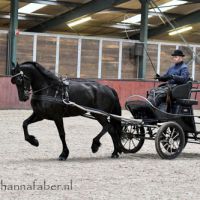 Black Beauty van Zomerstaete (Jouwe 485 x Loadewyk 431) met Age Okkema 6122 20210128