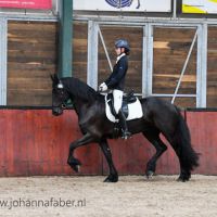 Anneke af Zerike (Beart 411 x Anton 343) met Natasja Tillema Rasmussen 4237 20210826