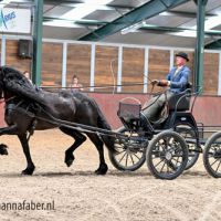 Anna fan Meren State (Bikkel 470 x Tsjalke 397) met Jelle van der Weide 0088 20220623