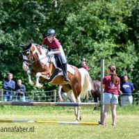 Show 2 8542 20220612