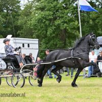 DK Douwe fan Fjildsicht (v. Hessel 480) met Gerbrich Elgersma 0205 20220702