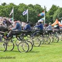 Algemeen tuigen opstellen regionaal 3238 20220801