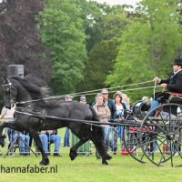 NC Stal de Merskens Dedmer (v. Nane 492) met Age Okkema 0178 20220526