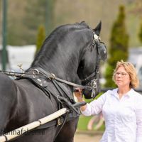 Gea Woudstra 7275 20230422