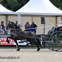 Cecilia von Greifenstolz (Bartele 472 x Beart 411) met Albert Lueks 3331 20230916
