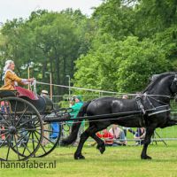 DK Hovenierwester Ferre (Eise 489) met Linda Wester 0348 20240509