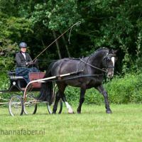 BGM Elgar met Hinke Cnossen 2174 20240602