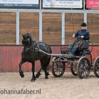 Ela Lotte van de Noeste Hoeve (Omer 493 x Take 455) met Age Okkema 6127