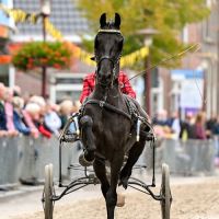 HC DK Black Sparrow met Willeke Rozendaal 1904