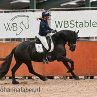 Passja Passja A.B. (Waander 512 x Heinse 354) 0027 20241010