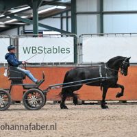 Pampie fan Sweach (Teun 505 x Andries 415) 6446 20241219