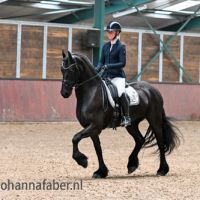 Froukje fan Stal Swarte fryske (Tsjalke 397 x Lolke 371) met Lisa Minkema 2303 20250328