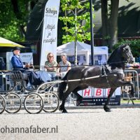 LKR1 Anke fan Ramonahiem (Tsjalle 454) met Lukas Hoeksema 8706 20250503