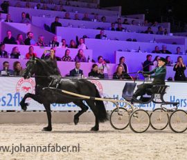 HR Rense GDV (Auwert 514) met Susan Wind 7286 20260116